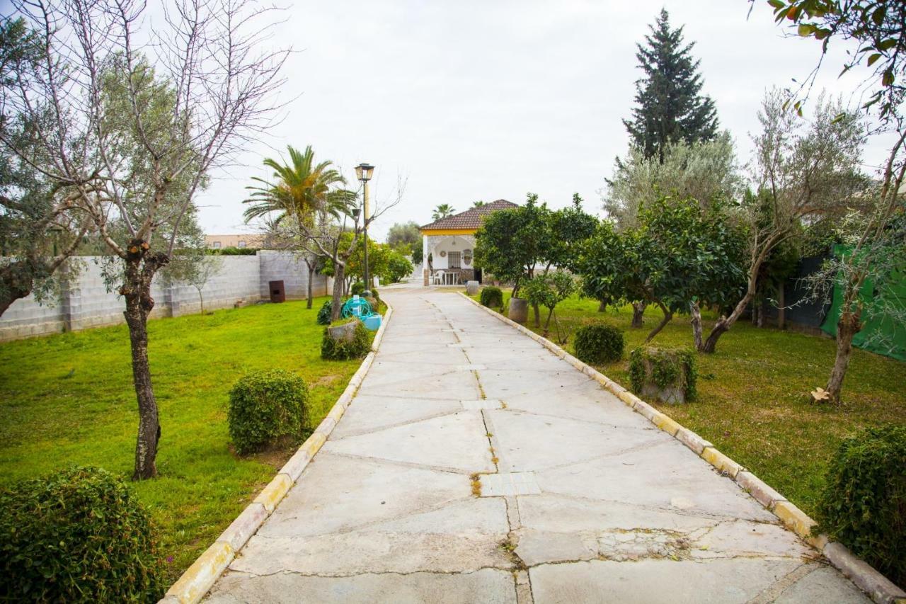 Chalet Piscina Jakuzzi Sevilla Hacienda de Tarazona Екстер'єр фото